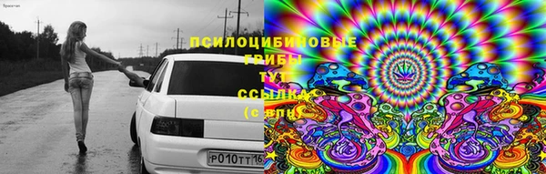 соль курить ск Вязьма